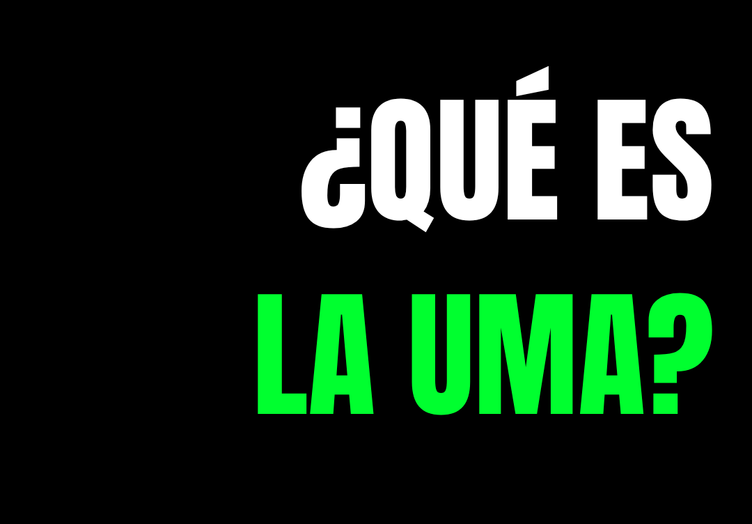 ¿Qué es la UMA y cómo calcularla? Usos en seguros y herramienta gratuita