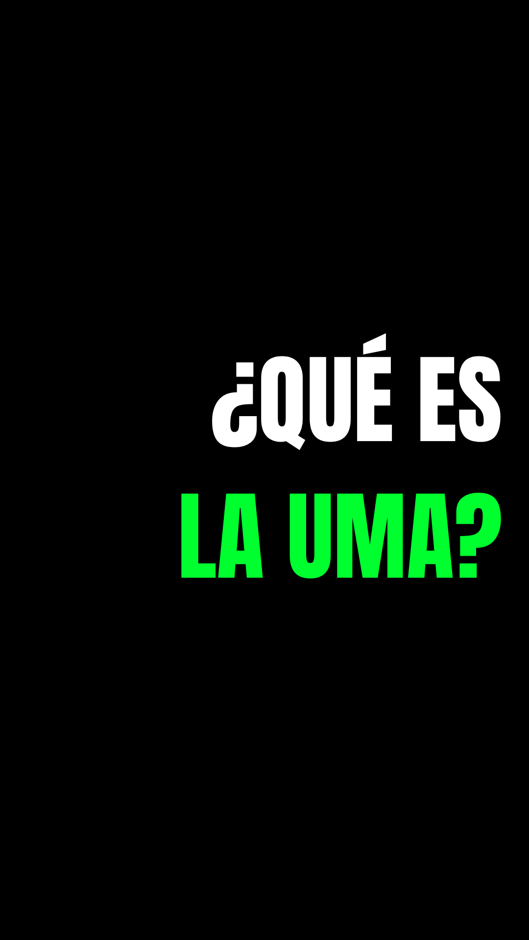 ¿Qué es la UMA y cómo calcularla? Usos en seguros y herramienta gratuita